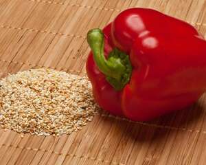 辣椒水可以杀虫吗