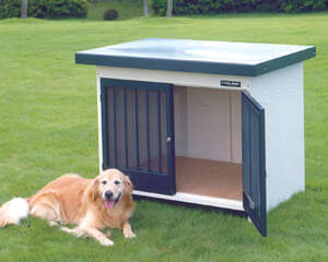 冬季狗窝摆放的注意事项