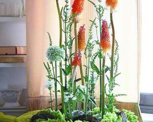 台湾插花大师教你锦屋添花