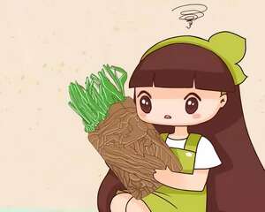 这8种花，现在最容易死，千万别乱浇水！