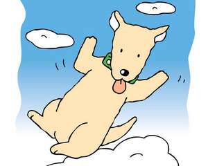 狗狗死亡心理学研究假想