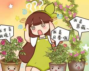 9种“冒牌”花，花市最常见，小心被骗，惹一肚子气！