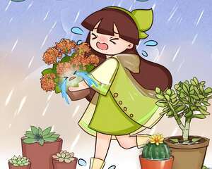 10种花，最怕下雨天，淋完雨就死！