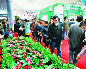 苗交会广揽八方客