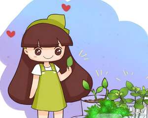 现在扦插最好活，这8种花，插多少活多少！