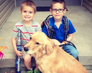 服务犬能帮助主人改善心理状态