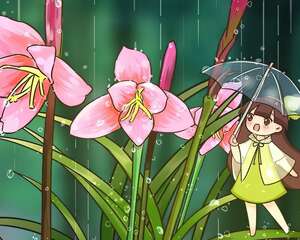 9种花，能预报天气，一“变脸”就下雨！