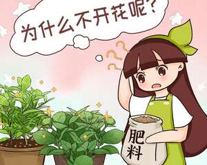 你家的花还不开？狠心剪、虐一虐，立马爆开花！