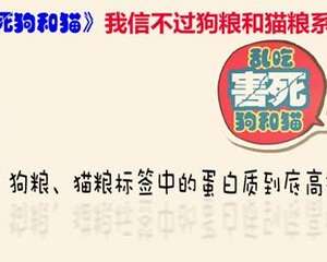 狗粮、猫粮标签中的蛋白质到底高好还是低好