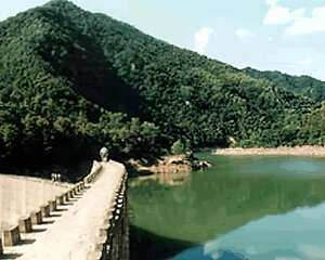 五龙口