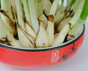 水仙花怎么浇水