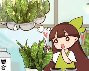 换盆的最佳时机到了，错过一定要后悔！