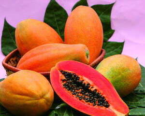 【美食攻略】自制猫咪的鹌鹑海鱼木瓜饭