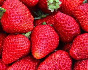 草莓不能和什么一起吃