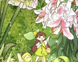 多肉养到半米宽，百合开出100朵，他家的花打激素了吧！