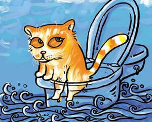 大庭广众之下的猫砂盆