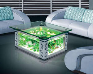 鱼缸大小及摆放位置的建议