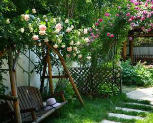 我想有个小院子，四季赏花一辈子！