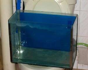 新手养鱼要知道的水知识