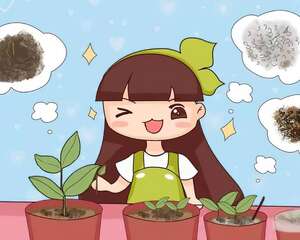 12月养花，天越冷越要扦插，成活率更高！