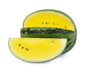 西瓜怎么种植，西瓜的作用