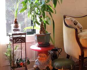 冬季花卉养殖要从三方面入手