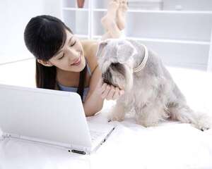 居家养狗的安全注意事项