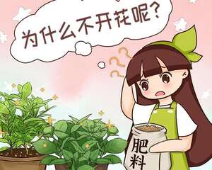 给花蒙住头，撸光叶，花苞突突窜，越折腾越开花！