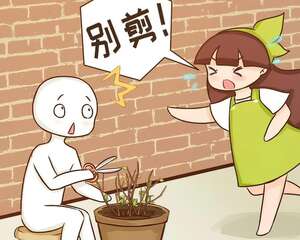 这花3月不能剪，小心再也不开花！