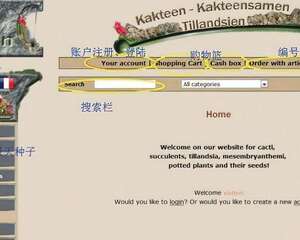 第一次购买KK种子的亲身经历与经验，这个过程其实挺有趣的