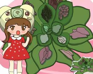 这花是个丑八怪，先别急着扔，越养越贵气！