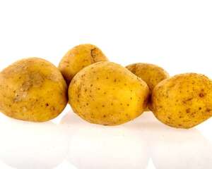 阳台土豆的种植方法