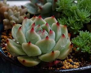 任何时候，请不要放弃你的爱好与梦想