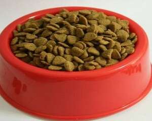 如何选择狗粮?狗粮挑选方法