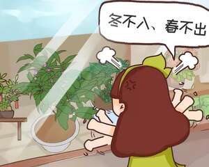 这6种花，千万别往屋里搬，外面冻俩月，花开才更旺！