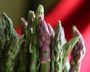 芦笋的功效与作用