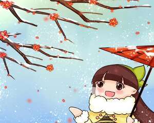 最贵气的梅花，多少人想养，都怕养不好！