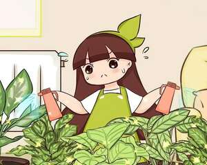 竹芋怎么养？别暴晒、多喷水，散光就能养爆盆！