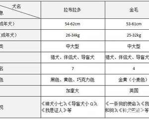 拉布拉多和金毛有什么区别，拉布拉多和金毛哪个好养