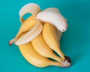 香蕉黄叶的原因和处理办法