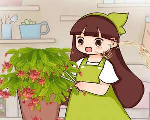 这花开完赶紧剪，20天又冒满头苞，一茬一茬拦不住！