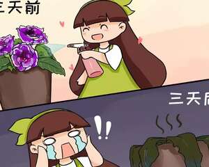 这花千万别喷水， 一喷叶子就发黄，3天掉成光杆！