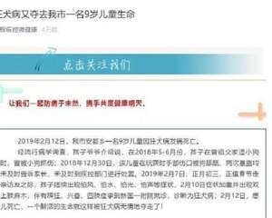 狂犬疫苗24小时误区是什么？