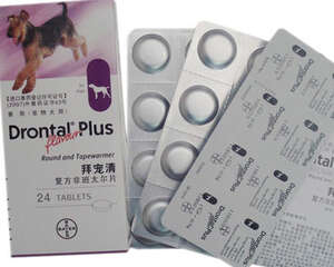 狗狗驱虫药哪个牌子好一些