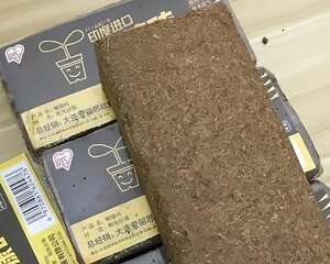 一块“砖”丢水里，体积大了10倍，养花保水又透气！