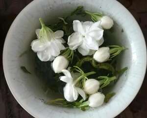医生最爱的6种花，阳台养一盆，堪比小药箱！