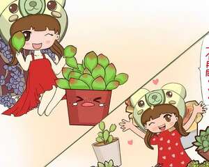 这8种多肉，现在扦插，插啥活啥，1个月就爆盆！