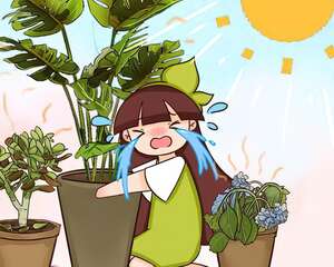 家里有这花，夏天不能晒，晒一盆死一盆！