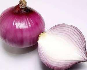 给花喷点杀菌水，虫子全杀死，杀菌消毒叶子绿！