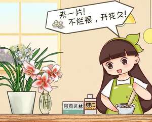 小药片磨成粉，兑水一浇，叶子油亮花开爆！